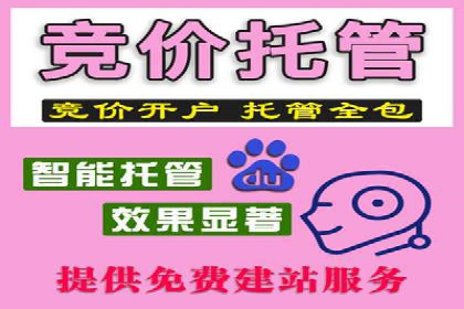 成功案例分享：SEM竞价托管助力企业增长